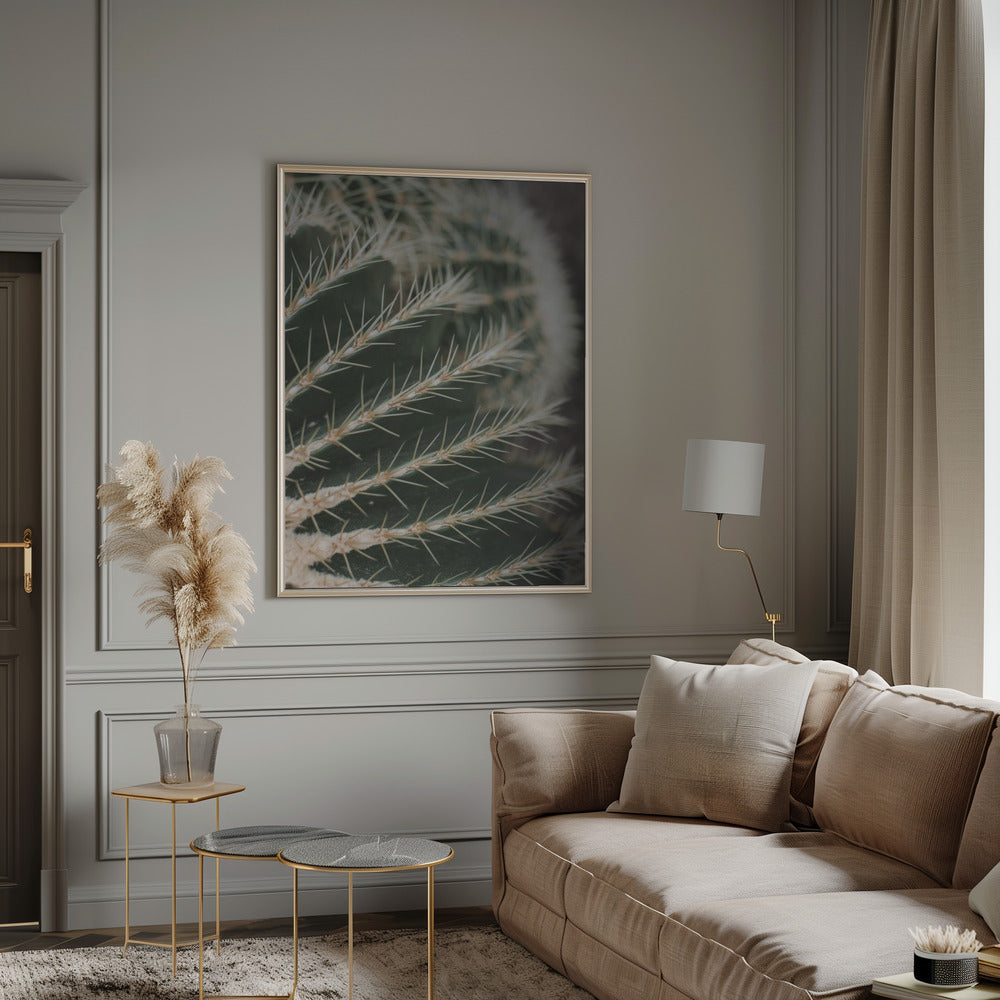 Cactus II Poster